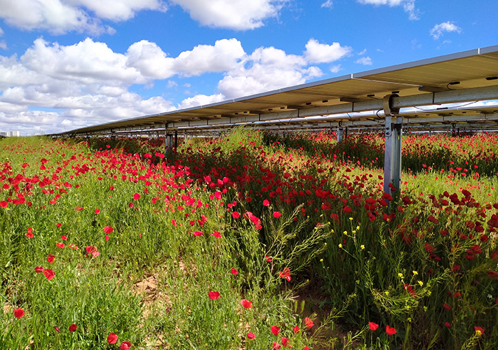 foto Iberdrola inicia la construcción de una planta fotovoltaica en Palmela, Portugal.